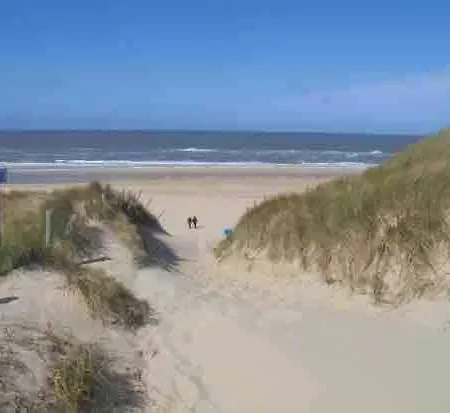 Luxury Forest Cabin, 5 Min To The * Castricum